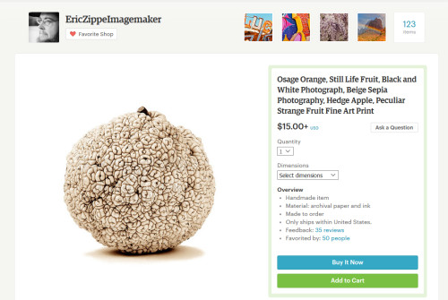 Eric Zippe Photography Screen Shot from Etsy Shop